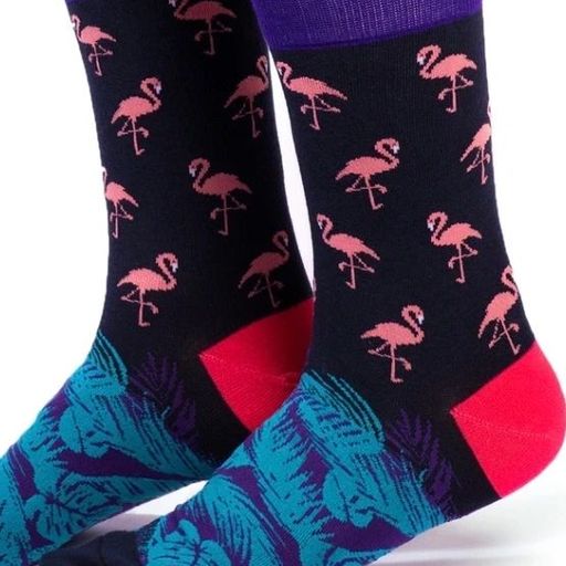 Flamingoes